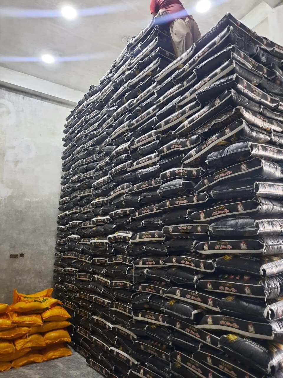 Premium Pakistani rice grains